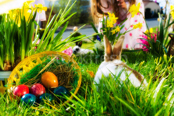 Foto stock: Conejo · de · Pascua · pradera · cesta · huevos · vida · primavera