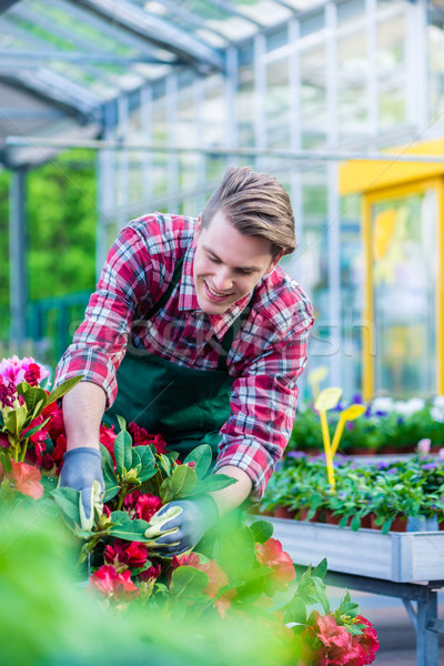 Foto stock: Dedicado · florista · trabajo · moderna · guapo