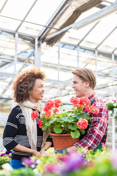 Beautiful woman buying a red pelargonium at the advice of a florist Stock photo © Kzenon