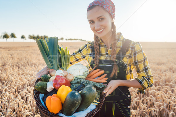 Harvest time in the country, woman farmer offering vegetables Stock photo © Kzenon