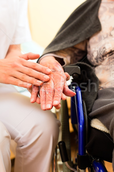 Genç hemşire kadın kıdemli huzurevi yaşlı kadın Stok fotoğraf © Kzenon