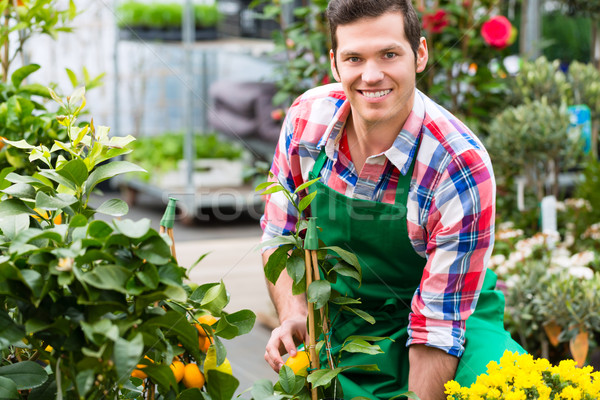 садовник рынке саду питомник флорист Сток-фото © Kzenon