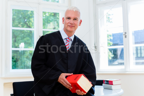 Trial Lawyer in his law firm Stock photo © Kzenon