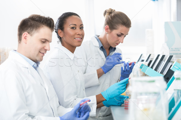 Group of researchers using scientific technology for test of ger Stock photo © Kzenon