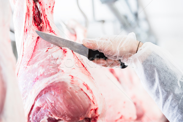 Hand of butcher in butchery cutting meat Stock photo © Kzenon