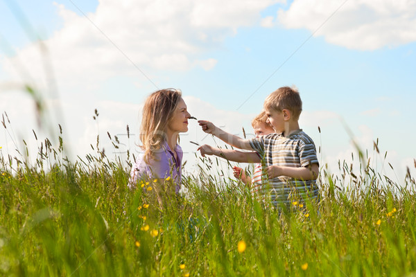 Stok fotoğraf: Aile · yaz · oynama · çayır · anne · iki