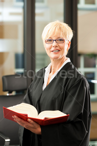 Female lawyer with German civil code Stock photo © Kzenon