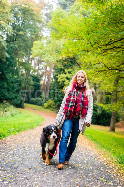 Woman walking the dog on leash in park Stock photo © Kzenon