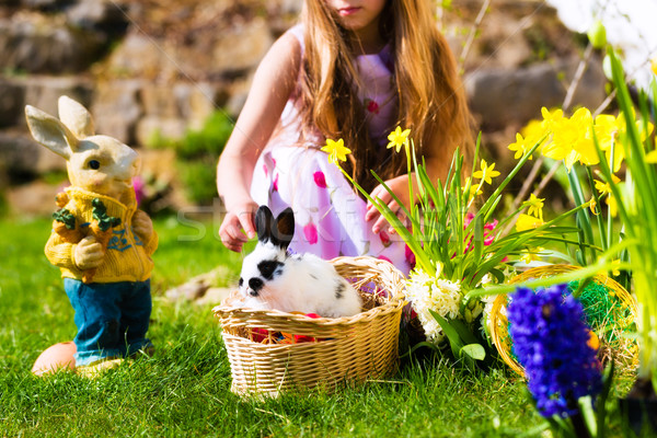 Stock fotó: Húsvéti · nyuszi · legelő · kosár · tojások · élet · tavasz