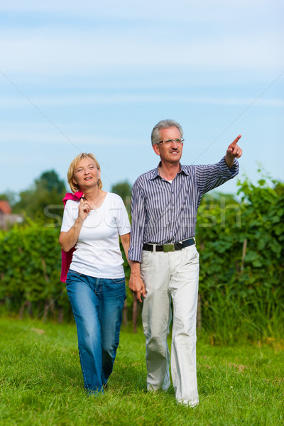Starszy para chodzić szczęśliwy dojrzały odkryty strony Zdjęcia stock © Kzenon