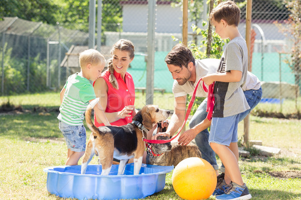 Family playing with dog from animal shelter Stock photo © Kzenon