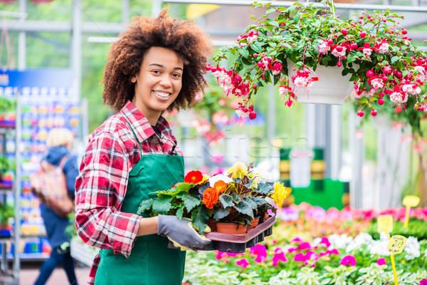 Porträt heiter arbeiten Blumengeschäft modernen Stock foto © Kzenon