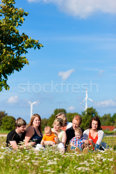 Stock photo: Family and multi-generation - fun on meadow in summer