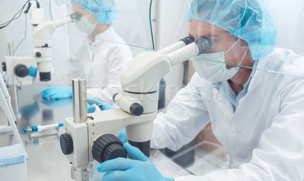 Stock foto: Zwei · Labor · Wissenschaftler · arbeiten · Labor · schauen