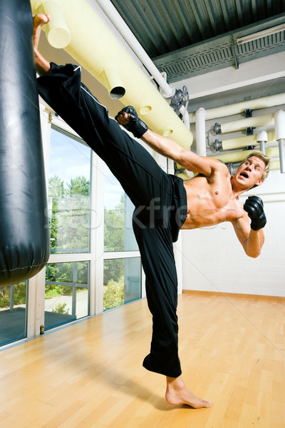 Martial Arts Kick Stock photo © Kzenon