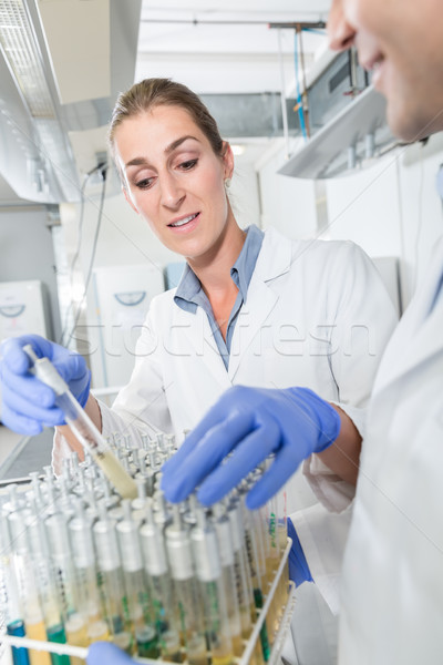 Scientist arrange samples for test in research lab Stock photo © Kzenon