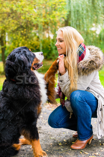 Foto stock: Cão · aperto · de · mãos · pata · mulher · outono · parque