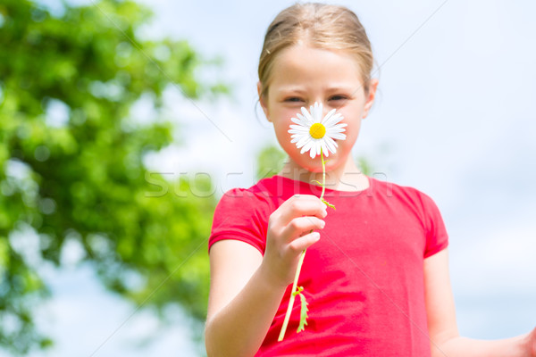 Girl with buttercups in summer outdoors Stock photo © Kzenon