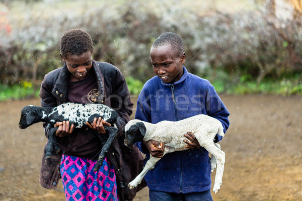 Massai children carrying goats in the rain Stock photo © Kzenon