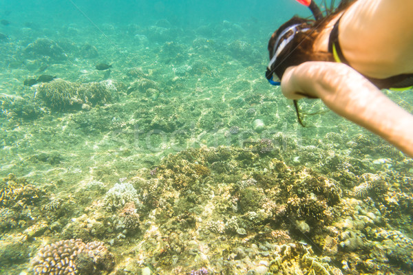 Woman snorkelling over floor of tropical sea  Stock photo © Kzenon