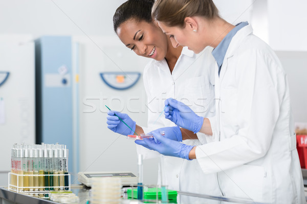 Nők kutatás laboratórium beszél bacilus minták Stock fotó © Kzenon