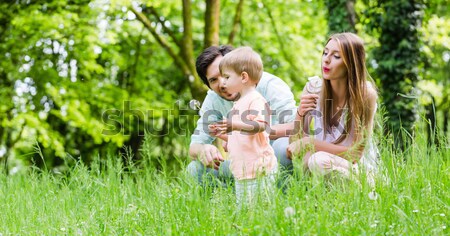 Mother nursing baby on meadow Stock photo © Kzenon