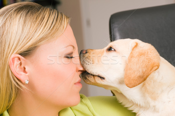 Puppy dog biting Stock photo © Kzenon