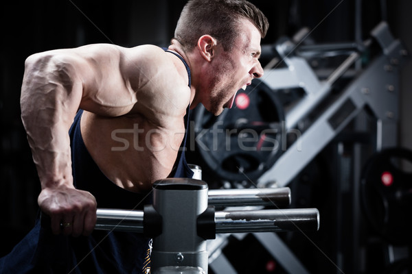 Man in gym at dip exercise Stock photo © Kzenon