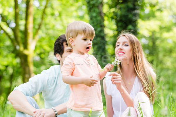 Foto stock: Família · filho · prado · dandelion · semente