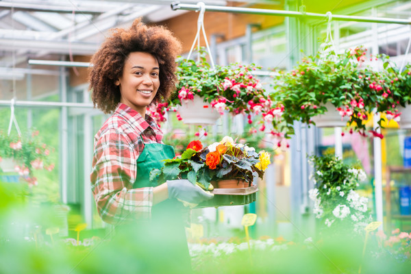 Foto stock: Vista · lateral · dedicado · florista · bandeja · decorativo