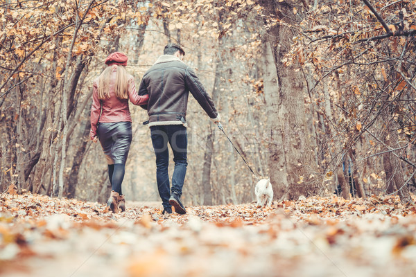 Woman and man in the fall strolling with their dog in the park Stock photo © Kzenon