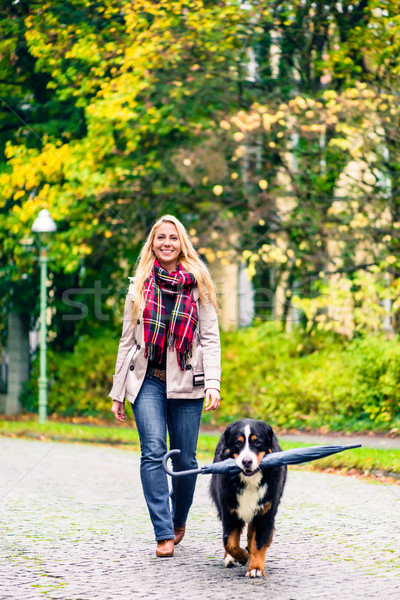 Dog carrying umbrella of his mom in autumn walk Stock photo © Kzenon