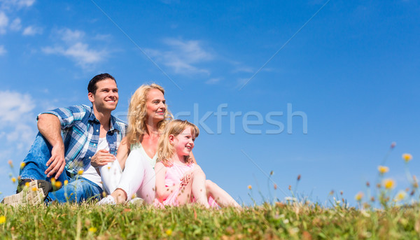 Family sitting in green grass on meadow Stock photo © Kzenon