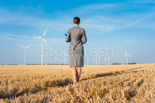 Investor in green energy looking at her wind turbines Stock photo © Kzenon
