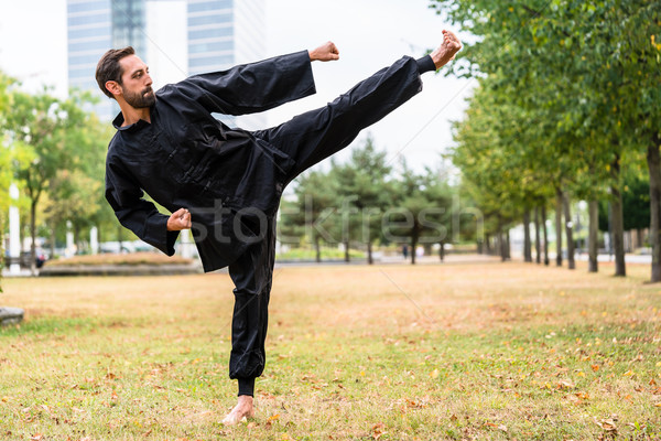 Martial artist practicing Qigong in office break Stock photo © Kzenon