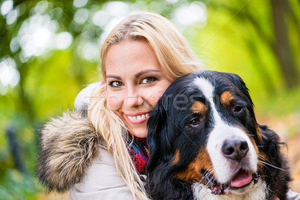 Kobieta berneński pies pasterski jesienią parku kolorowy Zdjęcia stock © Kzenon