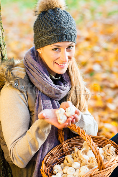 Woman collecting mushrooms in basket Stock photo © Kzenon