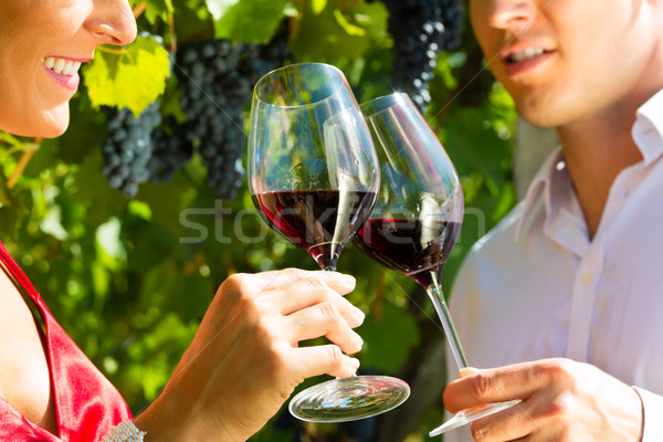 Woman and man standing at vineyard and drinking wine Stock photo © Kzenon