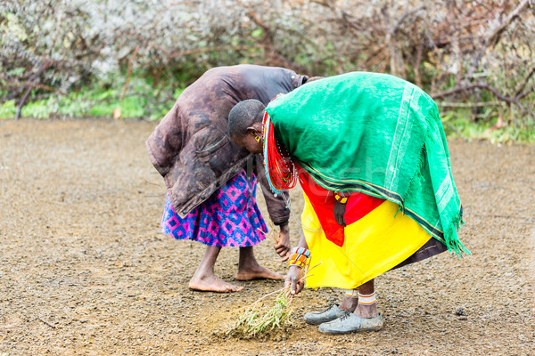 женщины полу работа по дому женщину матери Африка Сток-фото © Kzenon