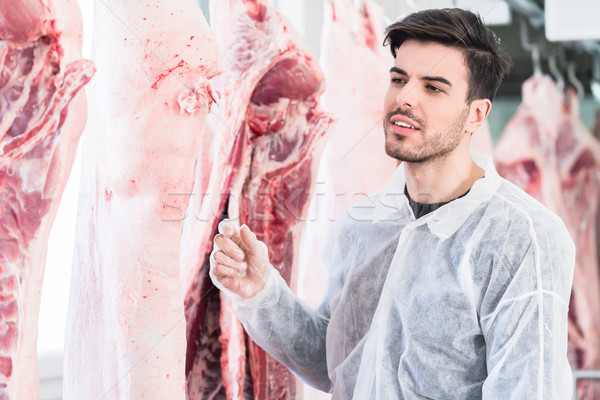 Veterinary at meat inspection in slaughterhouse  Stock photo © Kzenon