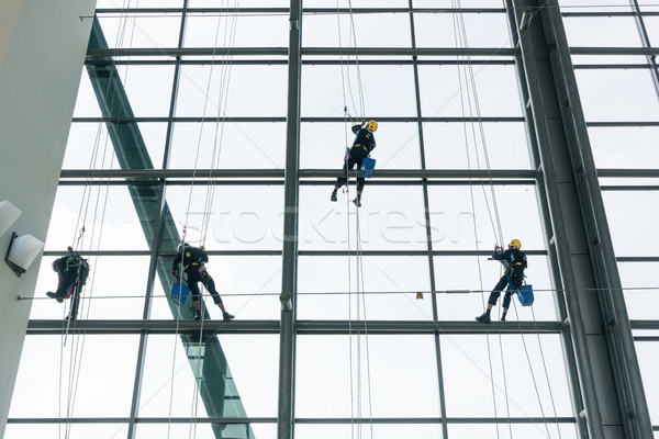 Foto d'archivio: Professionali · finestra · climbing · up · facciata · corde