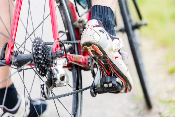Chain, pedal, rear wheel and sprocket of bike Stock photo © Kzenon
