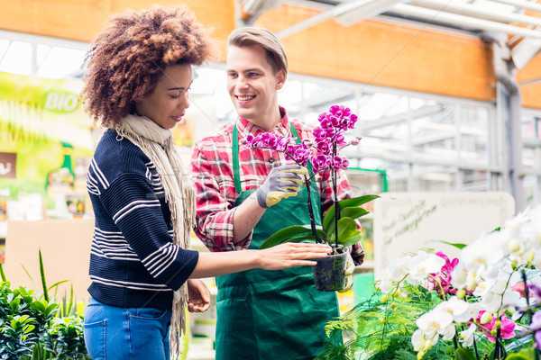 Cheerful vendor showing to a customer a potted pink orchid for sale Stock photo © Kzenon