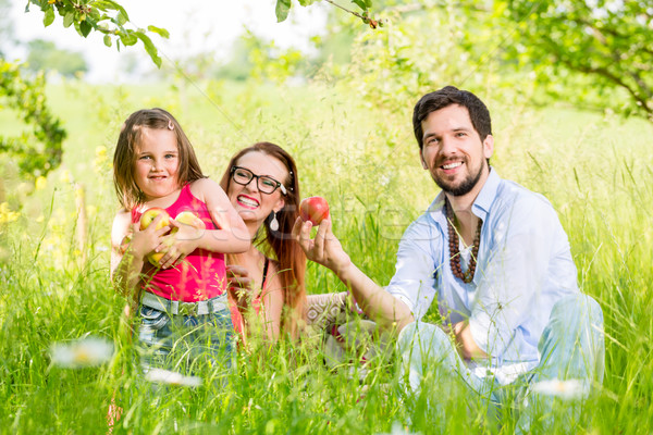 Family having picnic on meadow with healthy fruit Stock photo © Kzenon
