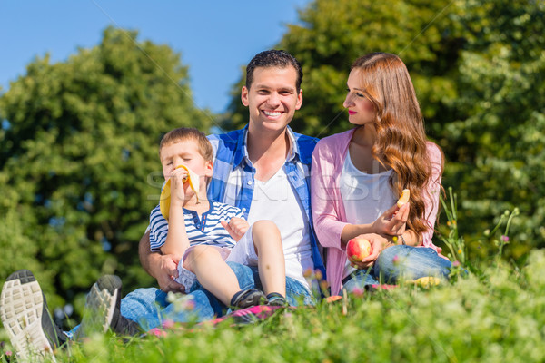 Stock foto: Familie · Picknick · Sitzung · Gras · Wiese · Frau