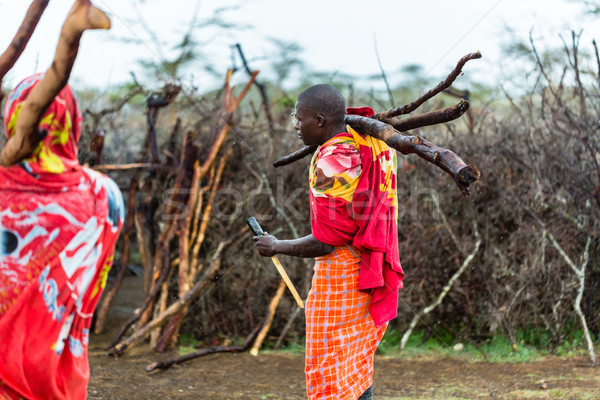 Massai man collecting firewood Stock photo © Kzenon