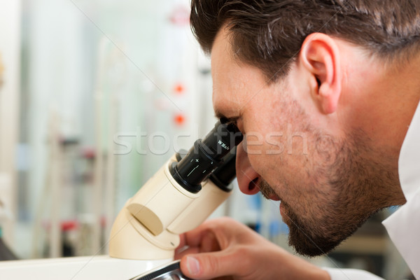 Beer Brewer in food laboratory examining Stock photo © Kzenon