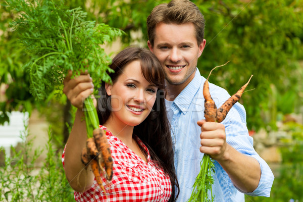 Stock foto: Gartenarbeit · Sommer · Paar · Ernte · Karotten · glücklich