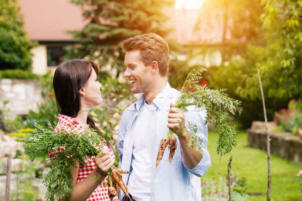 Couple in vegetable garden harvesting Stock photo © Kzenon