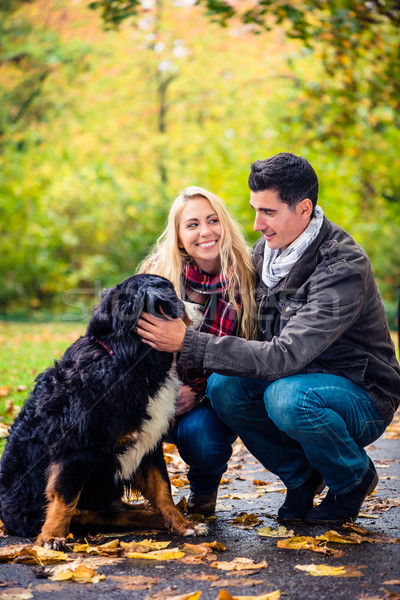 Couple with dog enjoying autumn in nature Stock photo © Kzenon